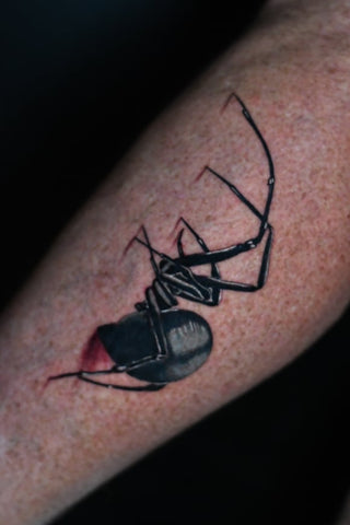 Redback Spider Tattoo by Don