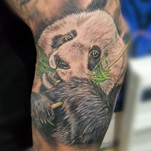 Colour Realism Panda Tattoo