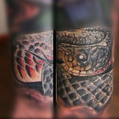 Cover-up Colour Realism Red Belly Black Tattoo